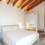 Es Molí Roig des Trenc